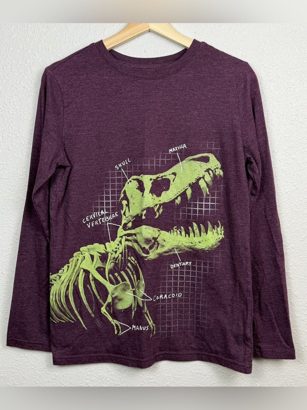 Cat & Jack Boys XL 16 Dinosaur Skeleton Long Sleeve Graphic Shirt Purple